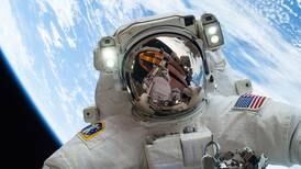 Moscas ayudan a descifrar por qué se enferman los astronautas 