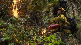 Combatiendo fuego con fuego: California apuesta por quemas controladas para evitar catástrofes
