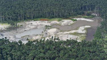 En 2018 se destruyeron 12 millones de hectáreas de selvas tropicales