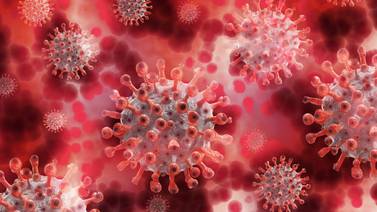 Variante sudafricana del coronavirus preocupa a los investigadores pues podría ser más transmisible