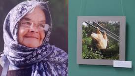 Con 90 años y cámara en mano doña Fe expone su primera foto de un perezoso