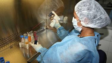 Logran extraer células madre de embriones humanos clonados