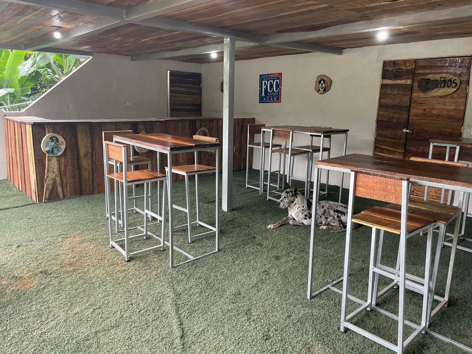 El  Perrazo. Primer restaurante para perros de LN. En San Juan Sur de Corralillo, Cartago