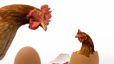¿Quién fue primero el huevo o la gallina? UNAM lo revela 