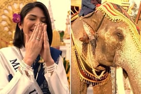 Miss Universo, Sheynnis Palacios, sorprendida por la presencia de un elefante en su visita a Tailandia