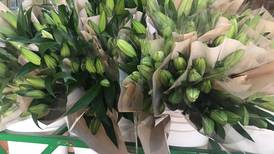 Servicio fitosanitario digitaliza certificación para exportar productos vegetales