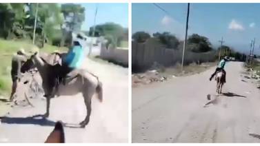 Caballista amarró y arrastró a sujeto al que acusó de robar una mula en Barranca