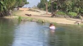 Hombre en Nueva Zelanda se metió al estanque de rinocerontes para darse un baño