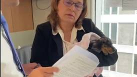 Diputada desoye prohibición de llevar mascotas a la Asamblea Legislativa