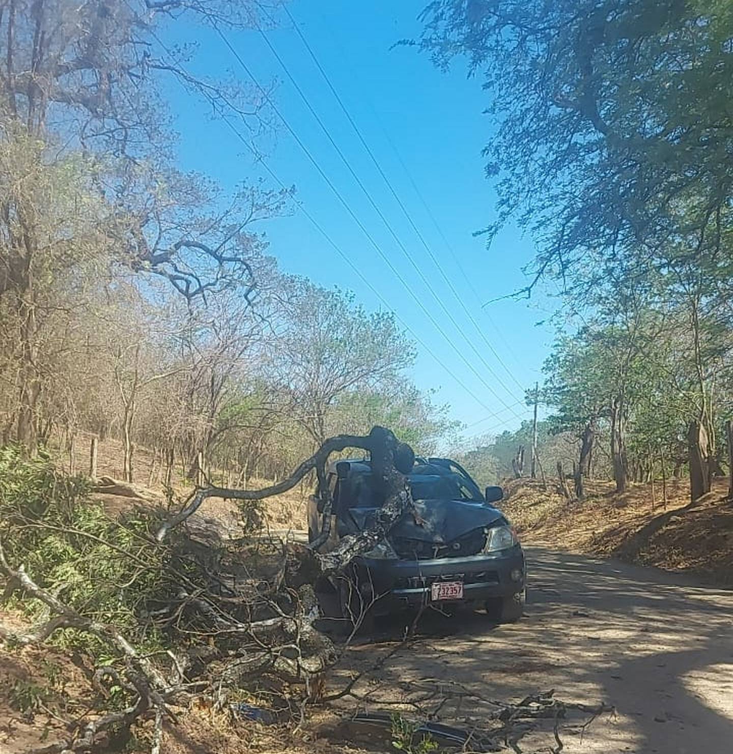 La rama de un árbol cayó sobre un vehículo que circulaba por una una vía de lastre entre Lomas de Matapalo y el cruce de Huacas,  Santa Cruz. El chofer, de apellidos Paniagua Obando fue trasladado a la clínica de Santa Cruz. Foto: Guananoticias.