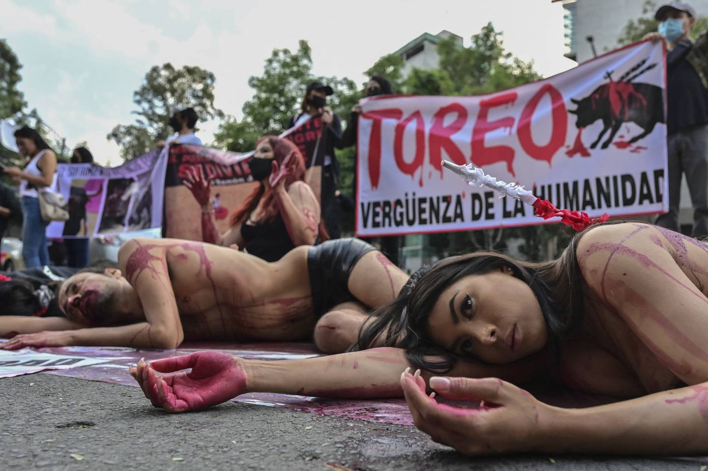 Activistas antitaurinos se han manifestado en reiteradas ocasiones por el maltrato animal que podrían sufrir los toros en las corridas mexicanas.