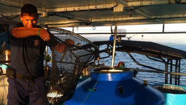 Guardacostas capturan a pescadores por pesca ilegal en el golfo Dulce