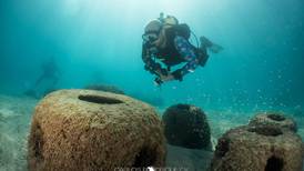 Descubra las maravillas submarinas que resguarda Punta Leona a través del buceo