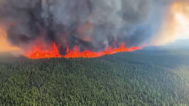 Incendios forestales arrasan 10 millones de hectáreas de montaña en Canadá