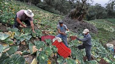 ¢850 millones perdió el sector agropecuario por ceniza del  volcán Turrialba