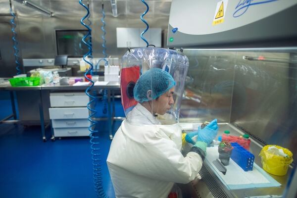 El nuevo coronavirus fue creado en un laboratorio? Esto dice la ciencia -  La Nación