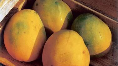 Mejora   venta de frutas  congeladas de Costa Rica al extranjero