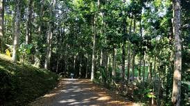 En Coronado puede disfrutar de un bosque por 6 mil colones