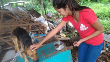 Voluntarios recorrieron Bagaces y Upala para dar alimento a animales afectados por huracán Otto