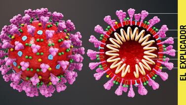 Las 11 variantes del coronavirus, explicadas con sencillez: ¿Cuáles hay en Costa Rica? ¿Funcionan las vacunas contra ellas?