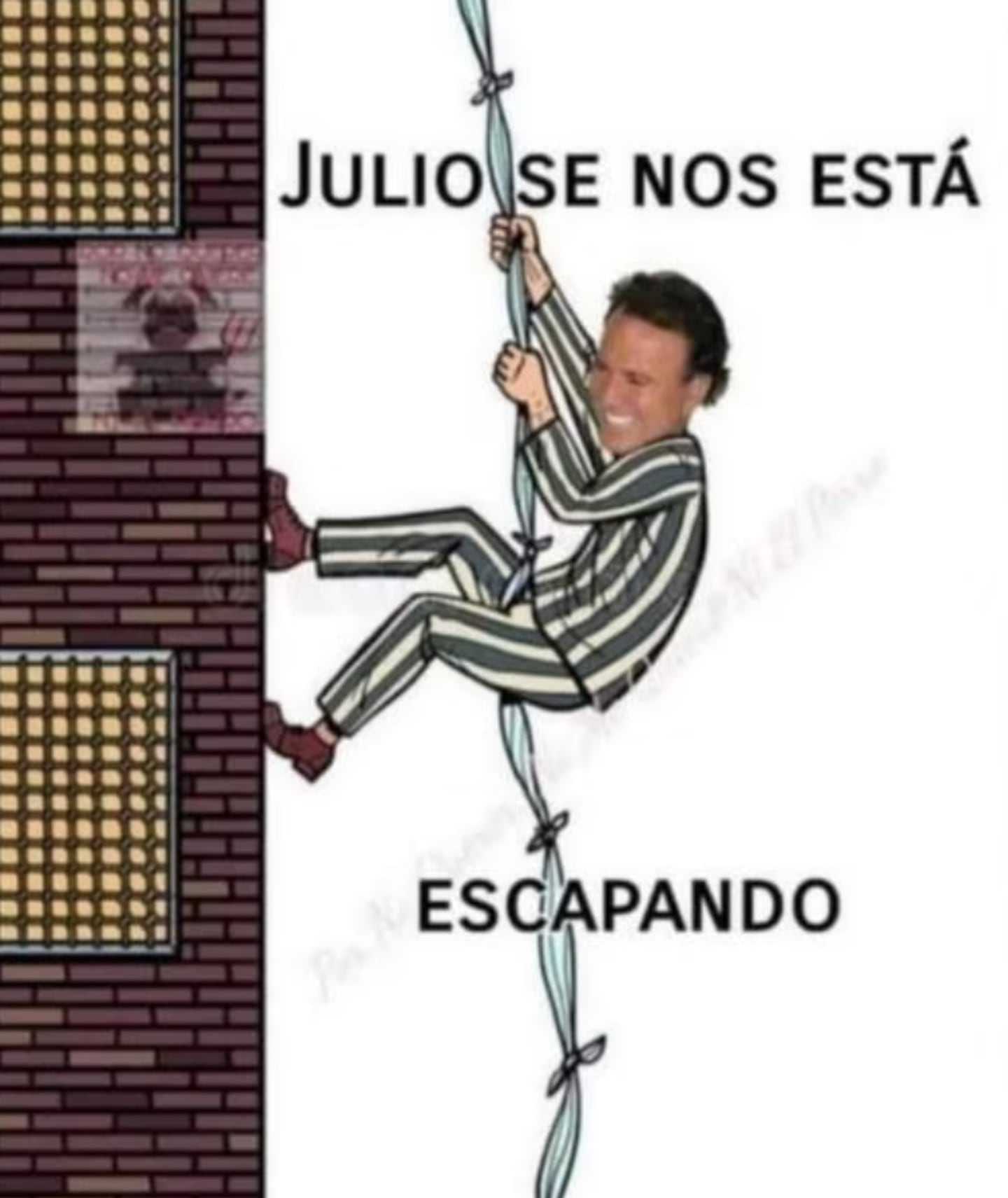 Julio Iglesias - Figure 6