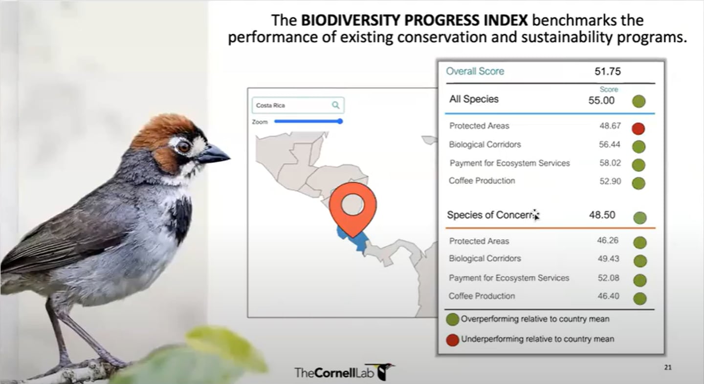 Costa Rica obtiene un 55 en su calificación general de protección a aves catalogadas como especies de interés.

Imagen: Universidad de Cornell