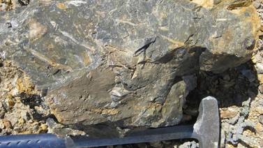 Patagonia argentina revela yacimiento de fósiles jurásicos