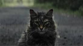 El gato de la película ‘Cementerio maldito’ murió 