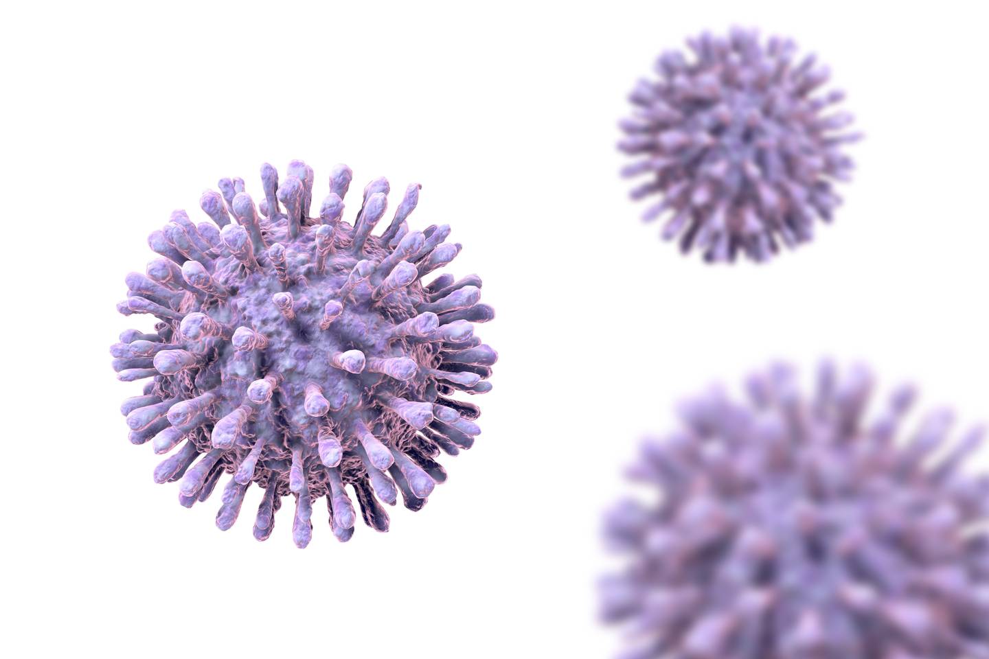 Así se ve el virus de inmunodeficiencia humana (VIH) a través de un microscopio.

Imagen: Shutterstock