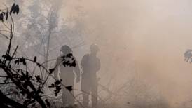 Área arrasada por incendios forestales supera cifras de todo el 2023