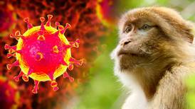 ¿La viruela del mono se transmite por el aire? Esto dicen los expertos