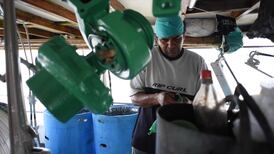 Costa Rica apuesta por la pesca responsable para conquistar nuevos mercados internacionales