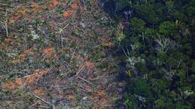 Amazonia de Brasil registra deforestación récord en el primer semestre del 2020