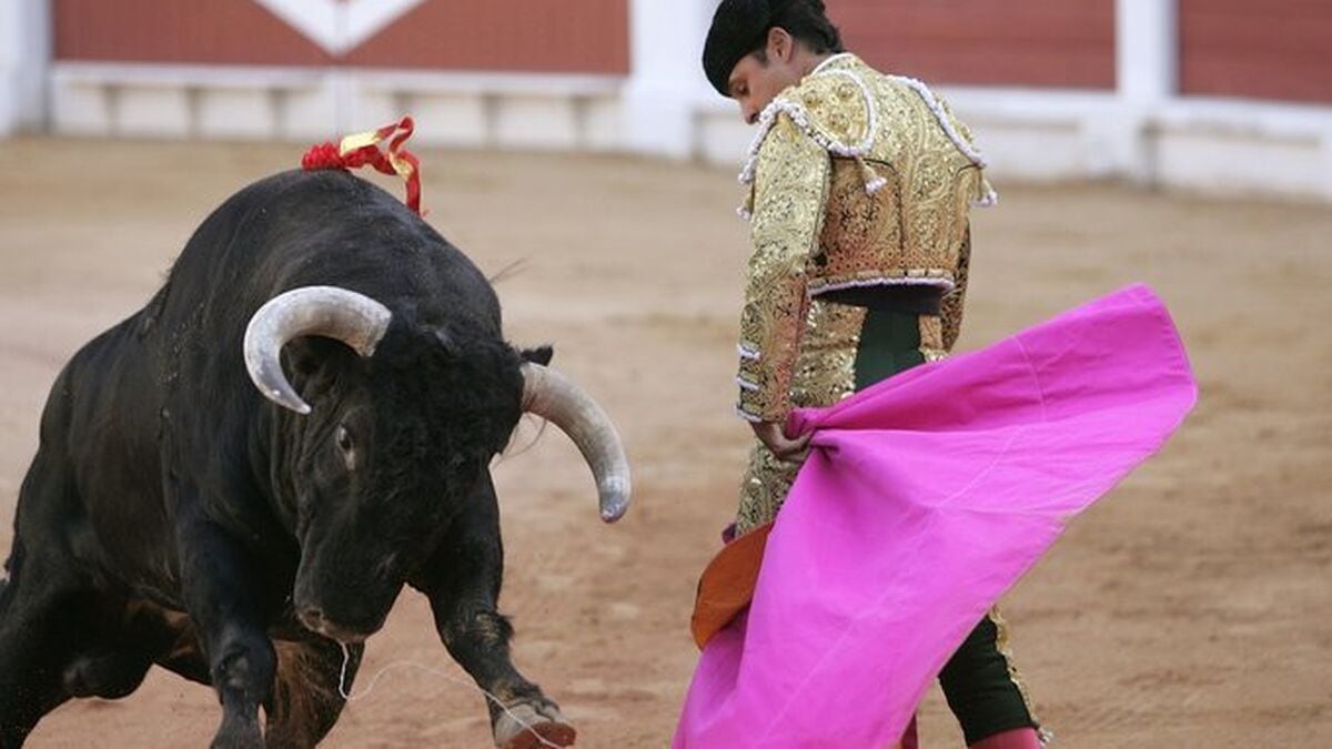 Activistas protestan por reinicio de corridas de toros en Ciudad de México