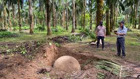 Esfera de piedra precolombina descubierta en finca privada en Palmar Sur