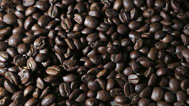 Crítico cierre de CISA Exportadora: Preocupación en Nicaragua por el futuro del café