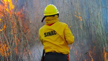 Bomberos impulsan ley para robustecer sanciones por incendios forestales