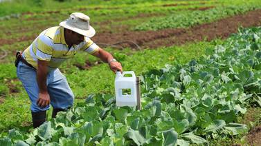  Nuevos negocios se especializan en vender productos orgánicos en Costa Rica