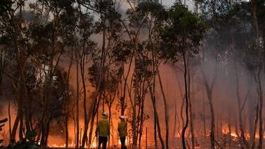 2019 tuvo una actividad ‘excepcional’ de incendios forestales alrededor del mundo
