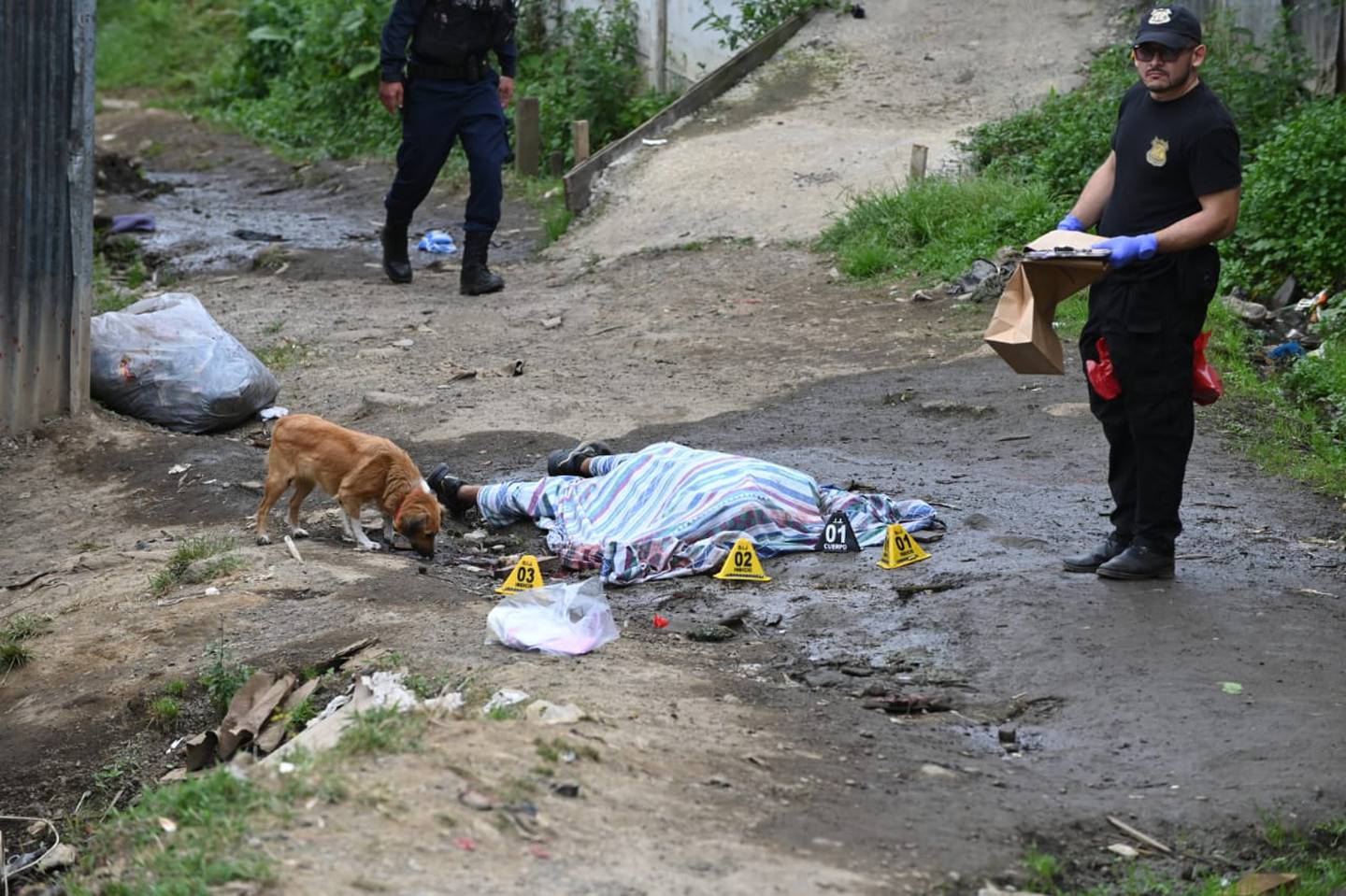 Una venganza por líos entre bandas dedicadas al narcotráfico generó el primer asesinato cuádruple de este 2024 en Goicoechea. Foto: Albert Marín.