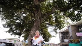 Ella plantó el icónico árbol del bulevar de El Bosque, en San Francisco de Dos Ríos
