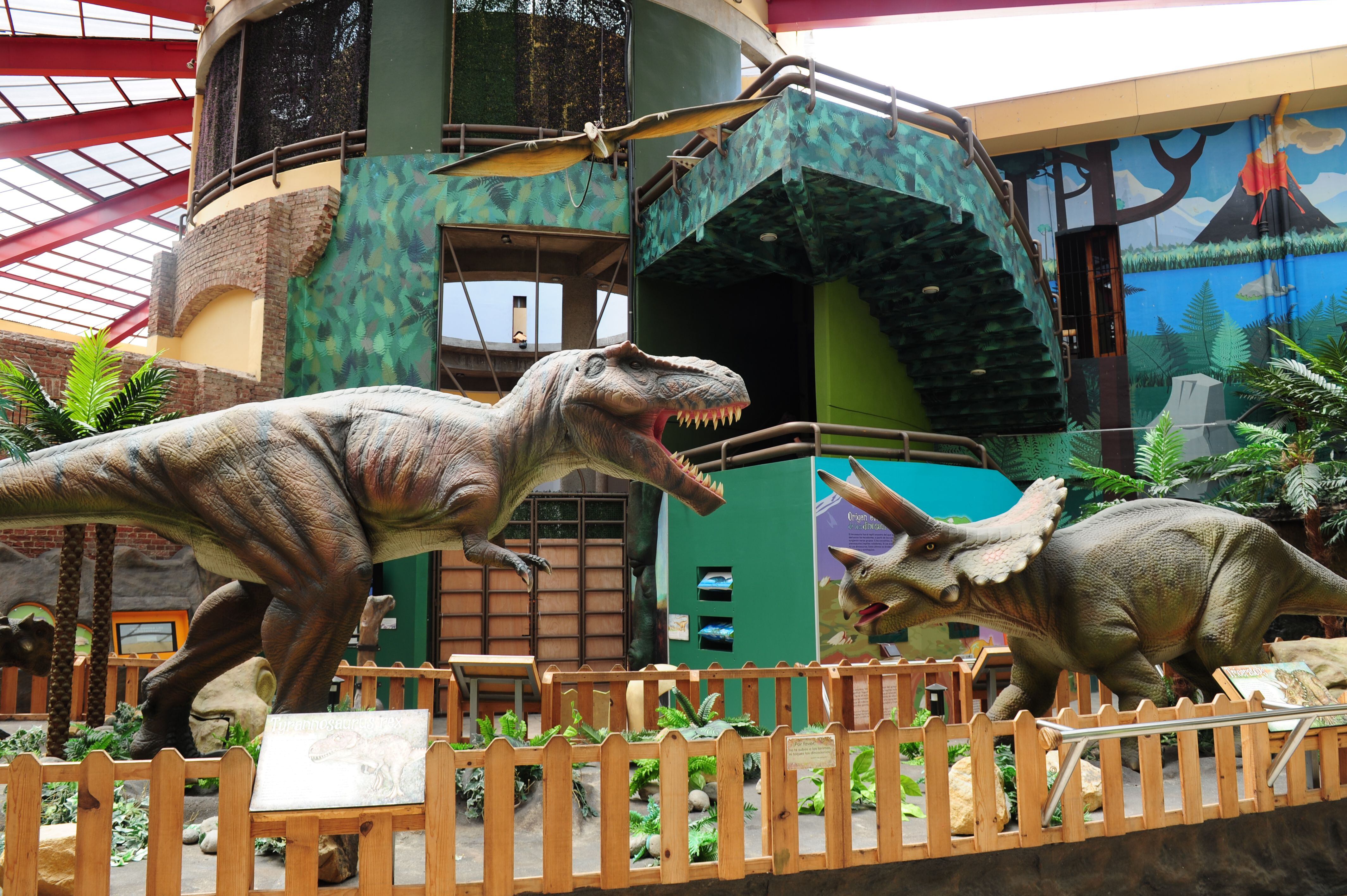 La sala de dinosaurios es la más grande que hay actualmente en el Museo de los Niños. 