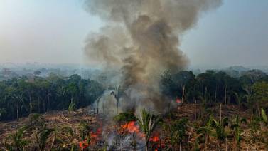 Casi 3.000 incendios en la Amazonía brasileña, récord para mes de febrero