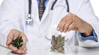  ‘La cannabis es medicina; no se puede autorrecetar’, dice especialista  estadounidense