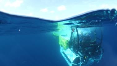 Tiburón  desciende a 312 metros  en Isla del Coco