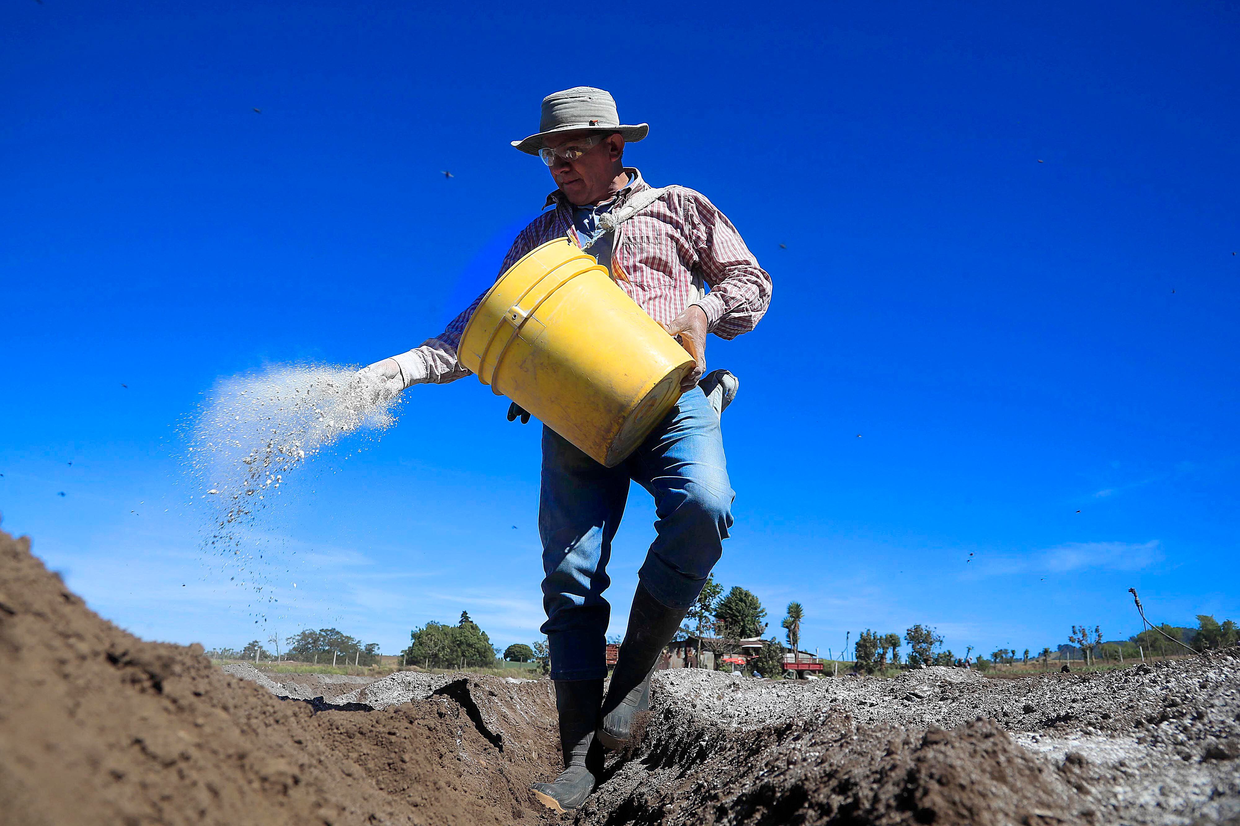 A las 8:56 a.m., Alonso Granados aplicaba a la tierra un fertilizante compuesto de calcio, magnesio y silicio. Su objetivo es fortalecer el suelo donde, más tarde, se trasplantaría cebolla.
