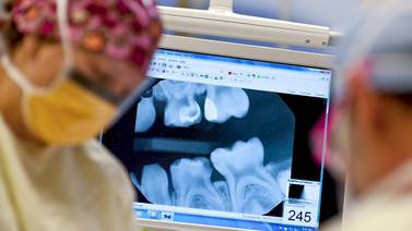  Nueve de cada 10 personas está en riesgo de sufrir enfermedades dentales