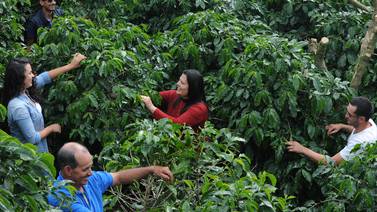Café de Los Santos gana los tres primeros lugares en concurso para elegir el mejor grano de Costa Rica