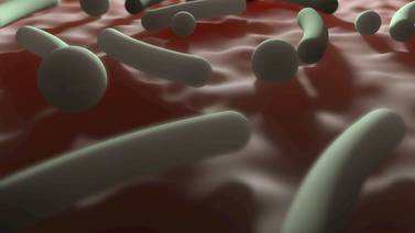 Las bacterias intestinales influyen en la salud mental