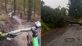 Ciclista muere tras caerle un árbol encima en Colombia